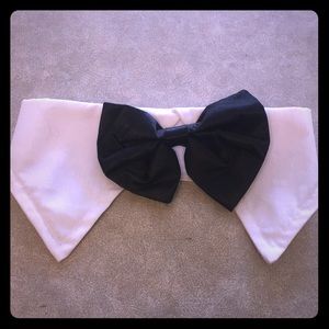 Dog bow tie collar